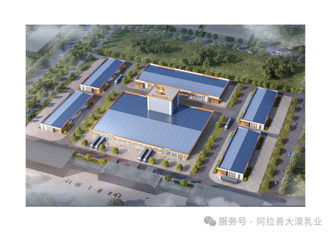 在阿拉善,养一峰骆驼,你会收获。。。